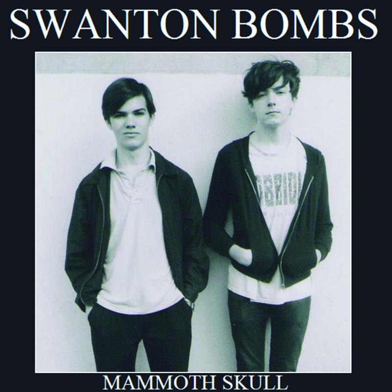 Mammoth Skull