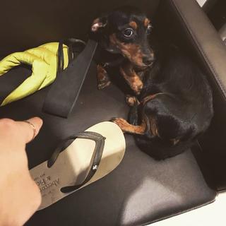 唱歌非常好听小姐姐的歌单