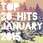 Top 20 Hits January 2015专辑