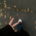 落叶的位置专辑