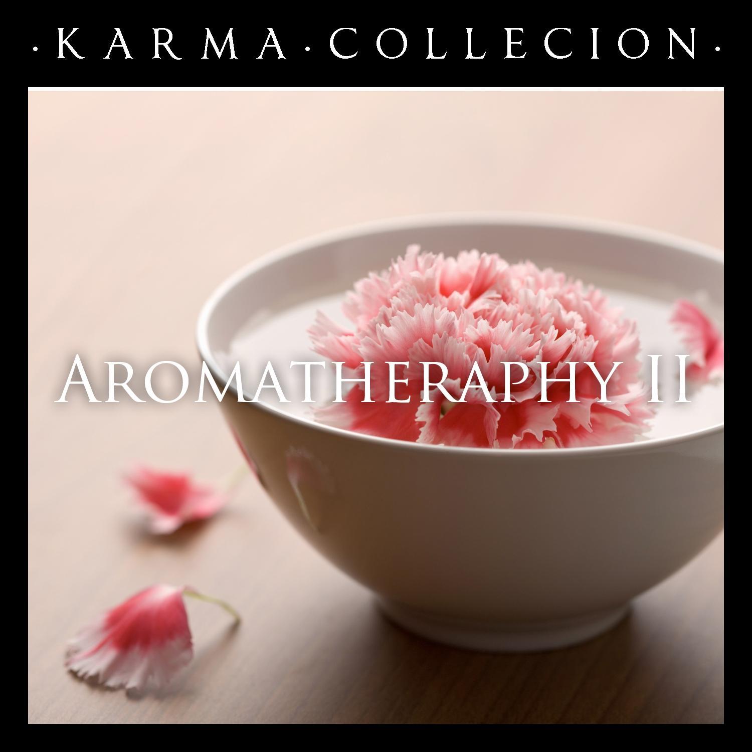 Karma Collection: Aromatheraphy II专辑