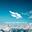 Soaring_Records