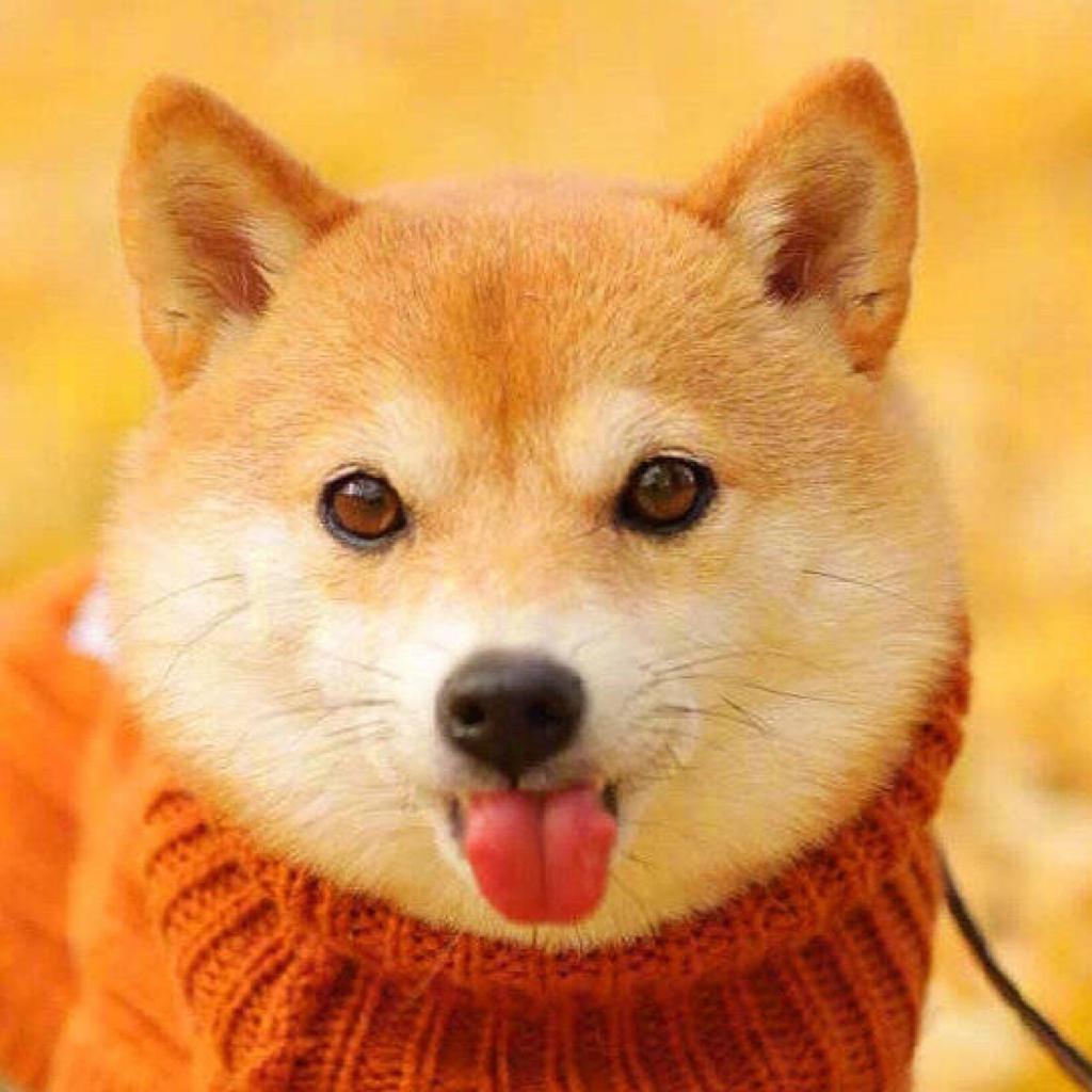 节奏！节奏！节奏！ | 在线播放 | 网易云音乐