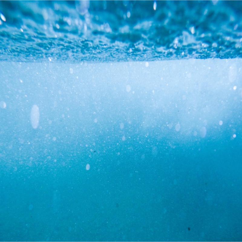 学习听蓝调 | 在知识的海洋中畅游