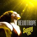 Heliotrope