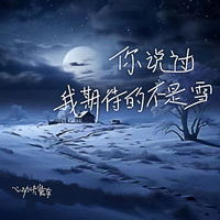 我期待的不是雪（时尚嘉宾EDM电音资料）男版首发