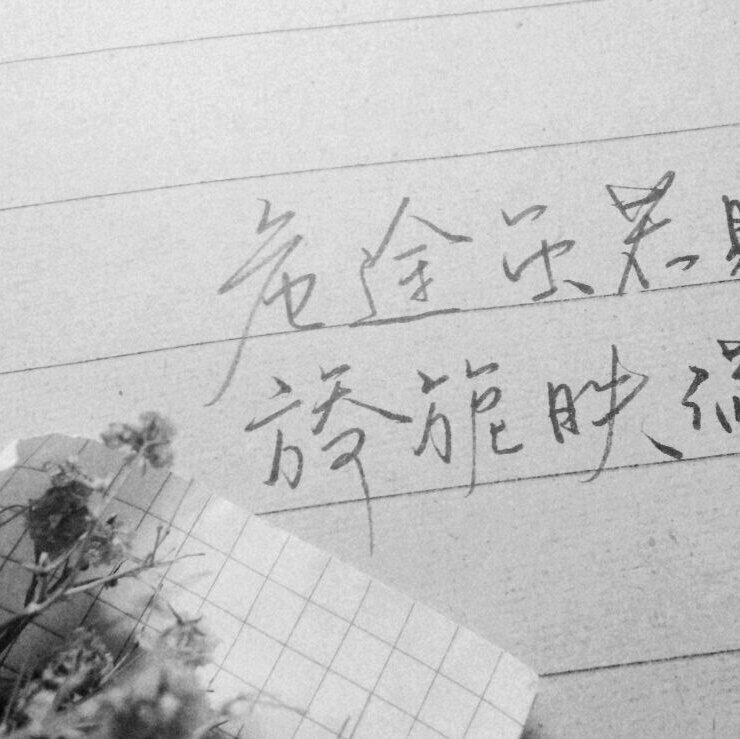 『国风金属』泠泠七弦上，静听松风寒
