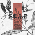 芒果花开