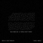 Cruel World (Wolfgang Wee & Markus Neby Remix)
