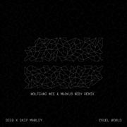 Cruel World (Wolfgang Wee & Markus Neby Remix)专辑