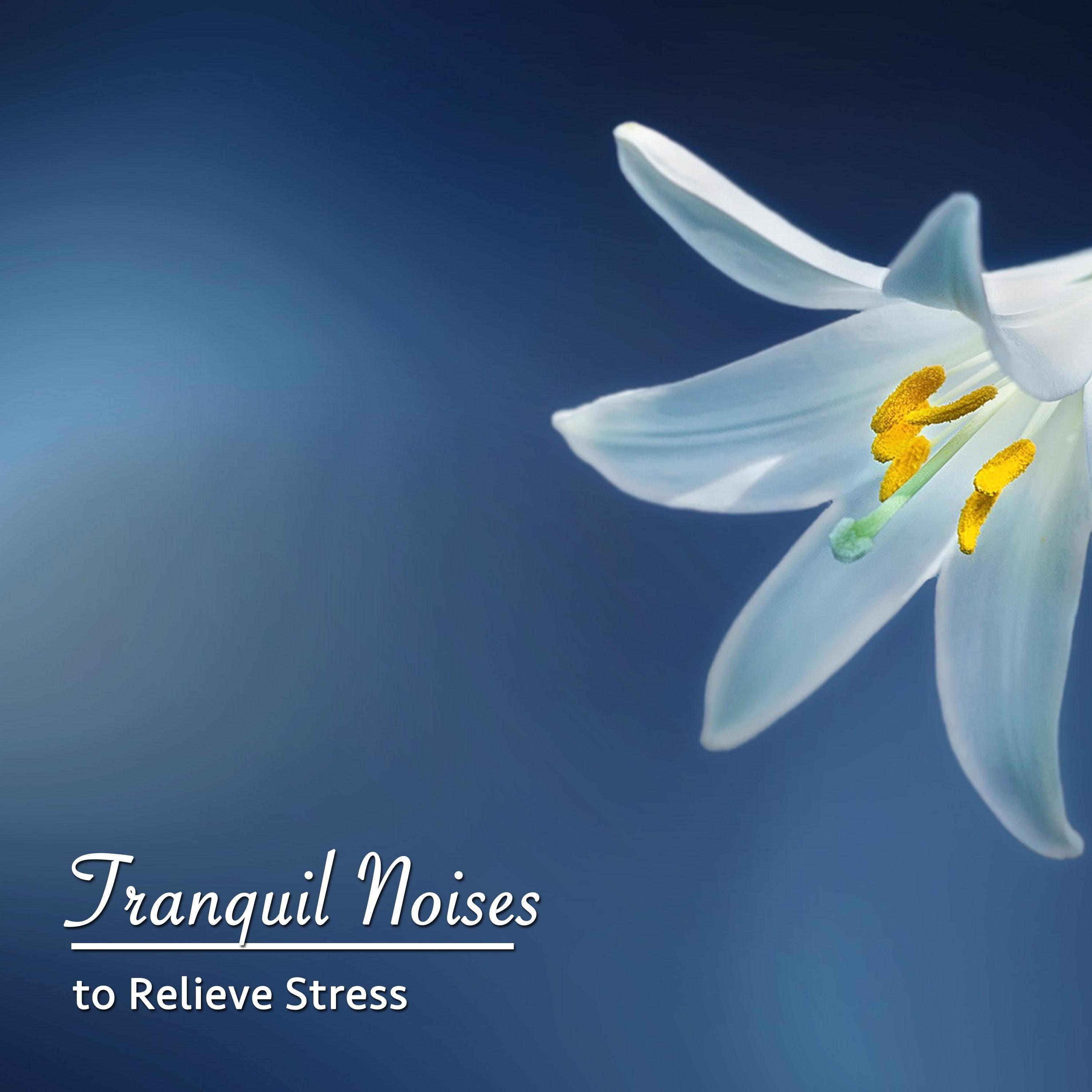 17 Tranquil Noises to Relieve Stress专辑