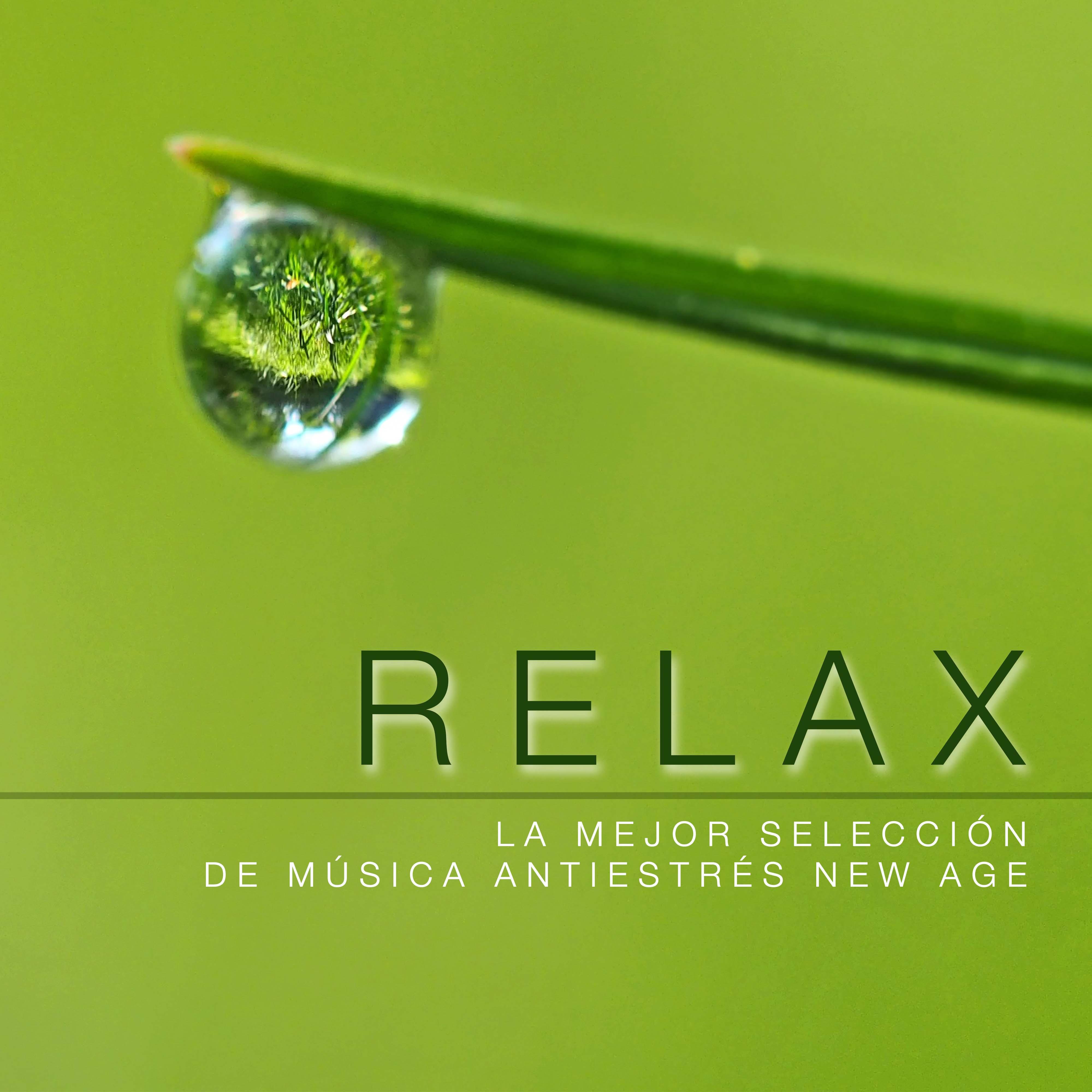 RELAX - La Mejor Selección de Música Antiestrés New Age para Combatir el Estrés y Liberar tu Mente c专辑