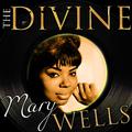 The Divine Mary Wells