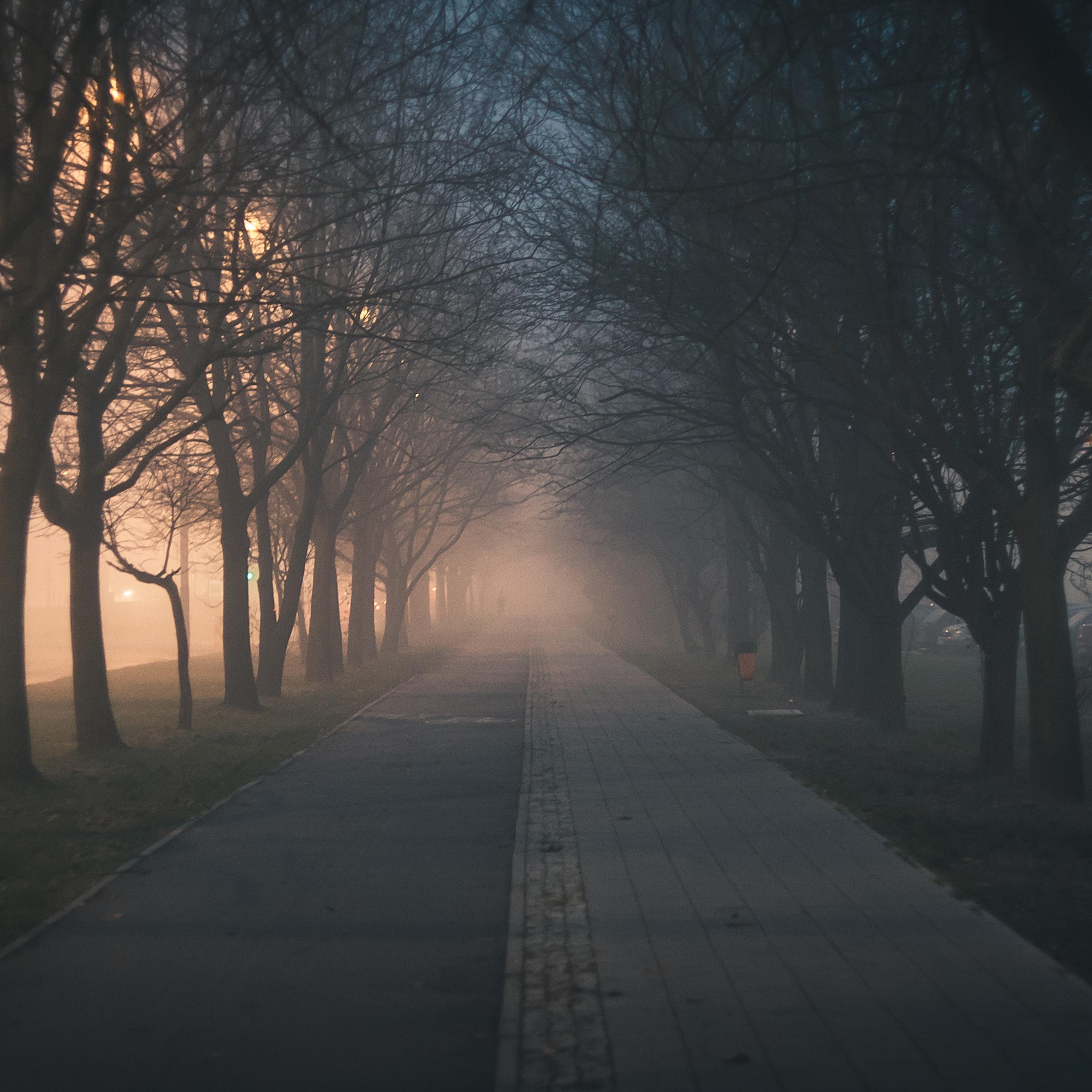 Calm Music | Stress | Calm Night and Sleep