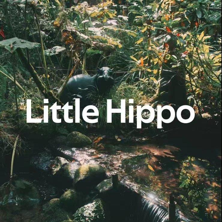 Little Hippo 小河马