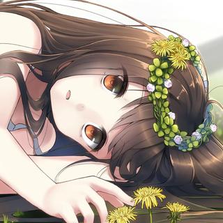 「谧林挽语」蝉噪林静 鸟鸣山幽