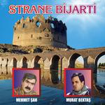 Strane Bijarti专辑