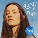 Sucker Punch (Acoustic)专辑