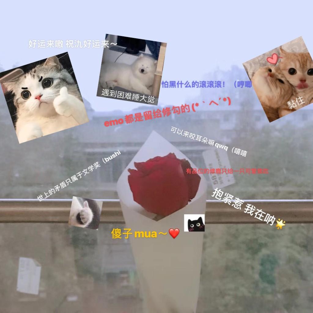 某小哥哥御用快乐歌qwq
