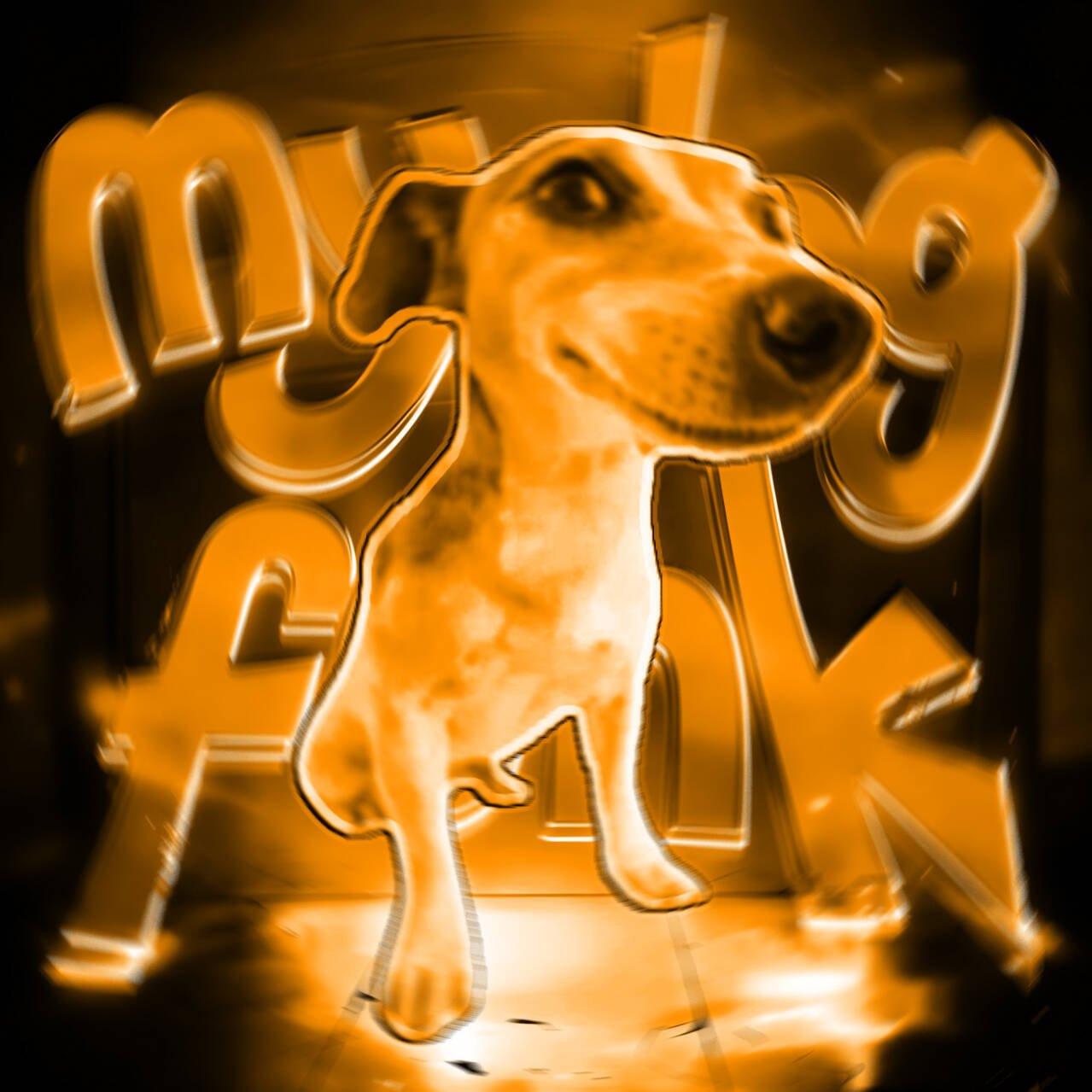 MY DOG FUNK