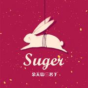 Suger (余天易 Bootleg) 琵琶X吉他