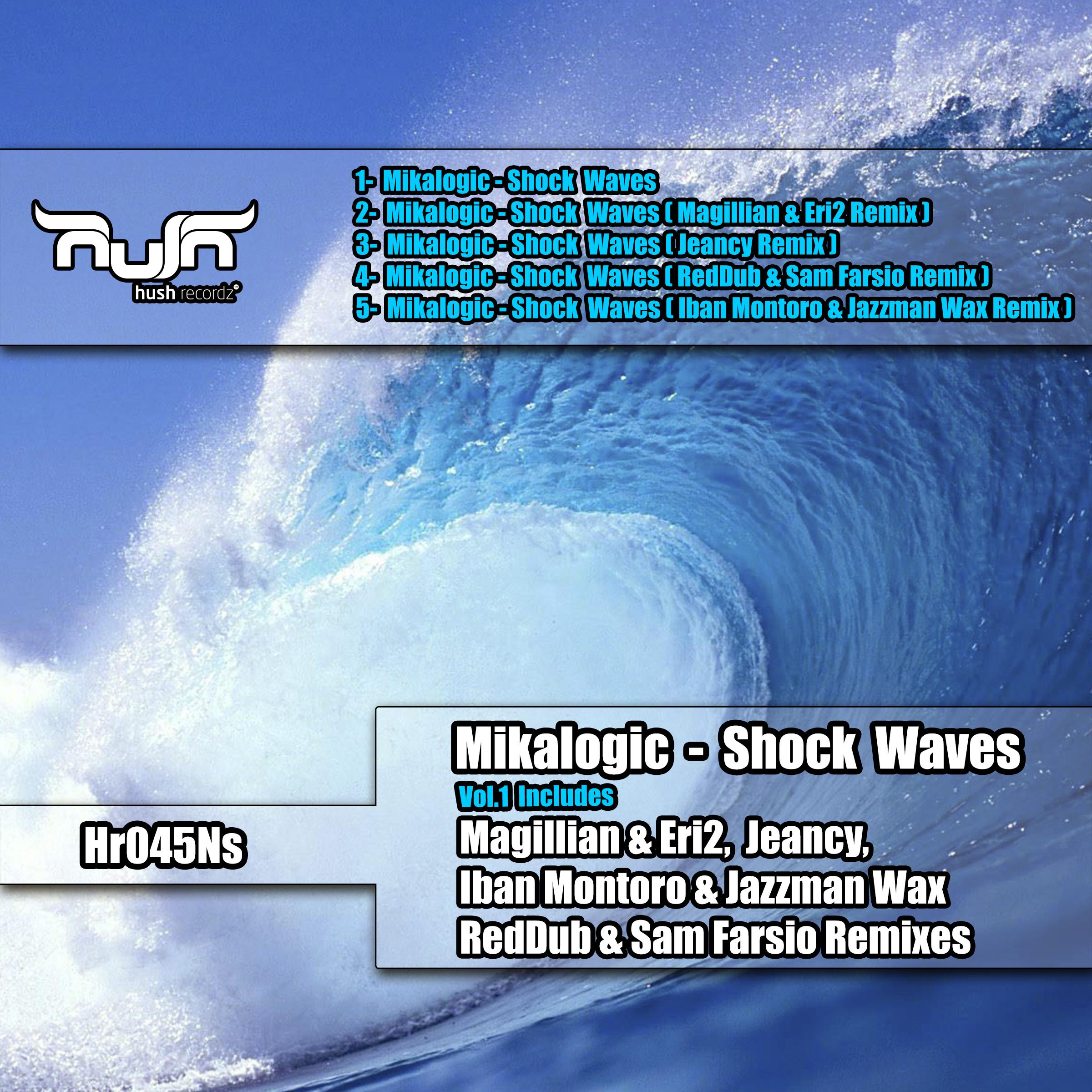 Shock Waves, Vol.1