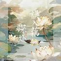 误入藕花深处专辑