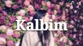 Kalbim专辑