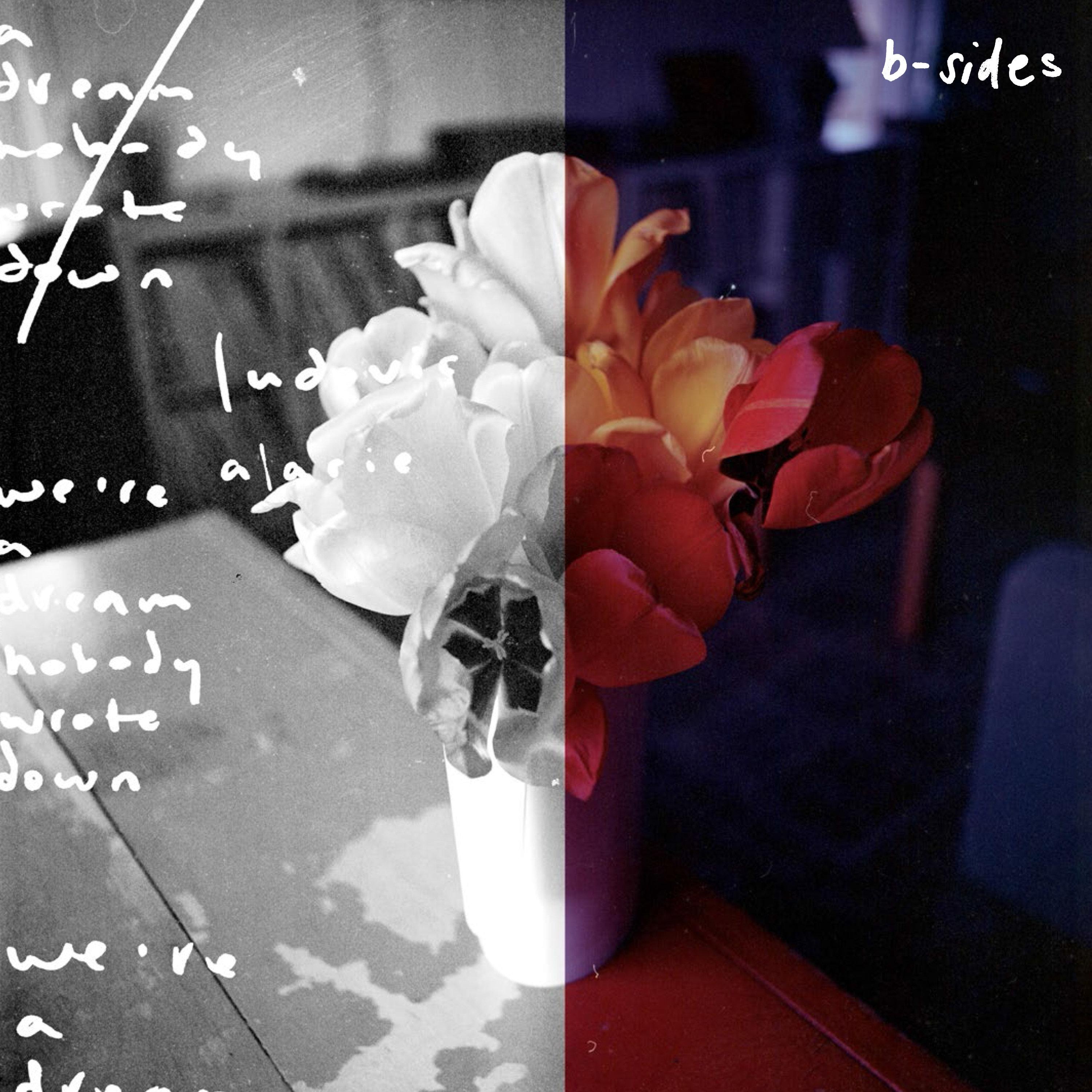 we're a dream nobody wrote down - b-sides