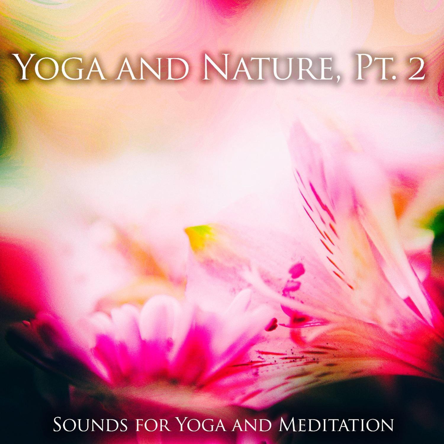 Yoga and Chakra, Pt. 2