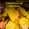 Adoo - Luminescent Alternate