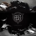 ความรู้สึกของวันนี้ (Felt)专辑