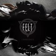 ความรู้สึกของวันนี้ (Felt)