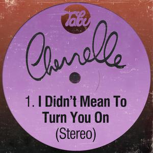 Cherrelle - I Didn't Mean to Turn You On (Karaoke Version) 带和声伴奏 （降7半音）