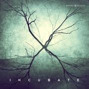 Incubate