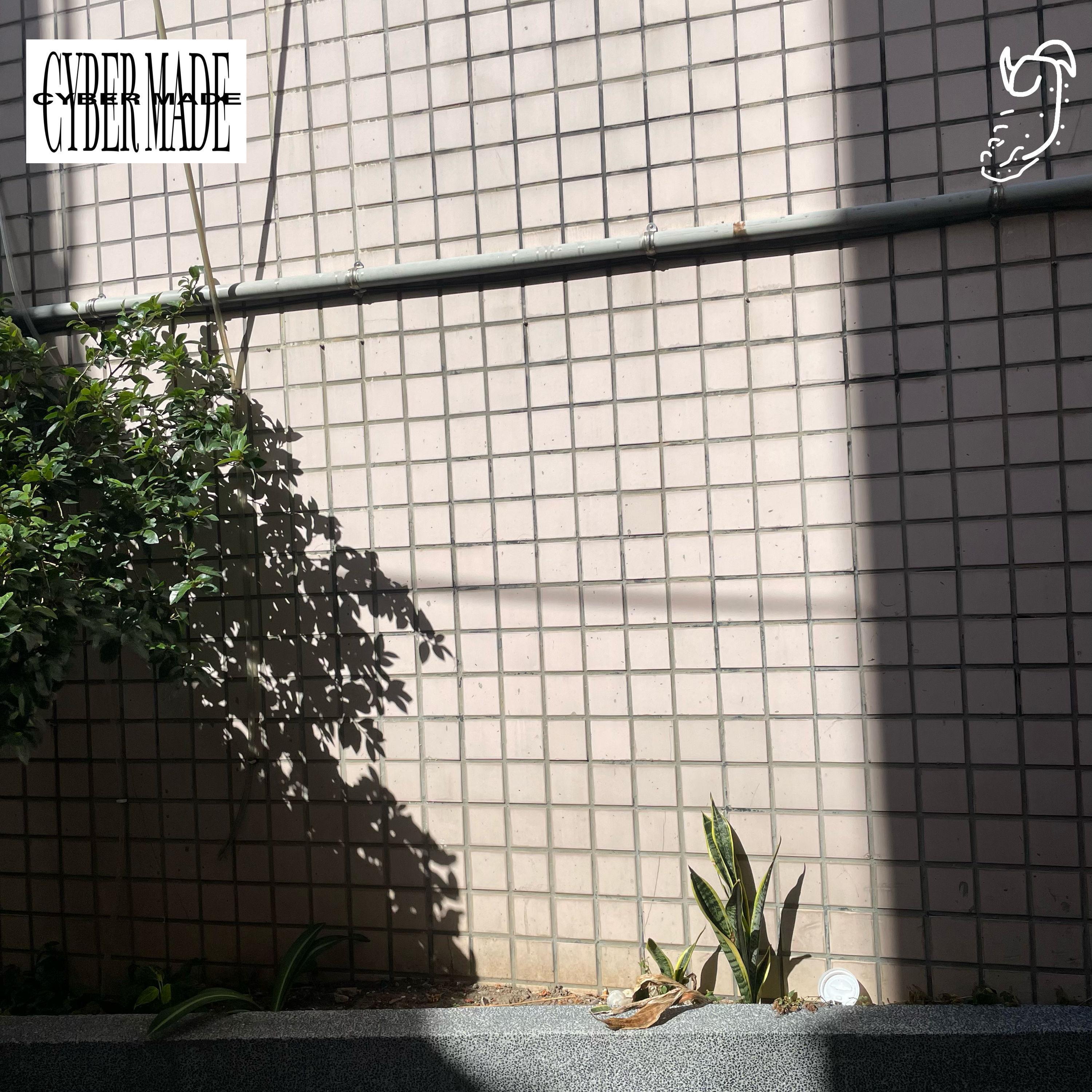 Cash & Money (speed up)