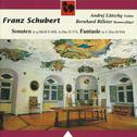 Schubert: Violin Sonata (Sonatina) in G Minor No. 3, Op. Posth. 137, D. 408 – Duo Sonata in A Major,专辑