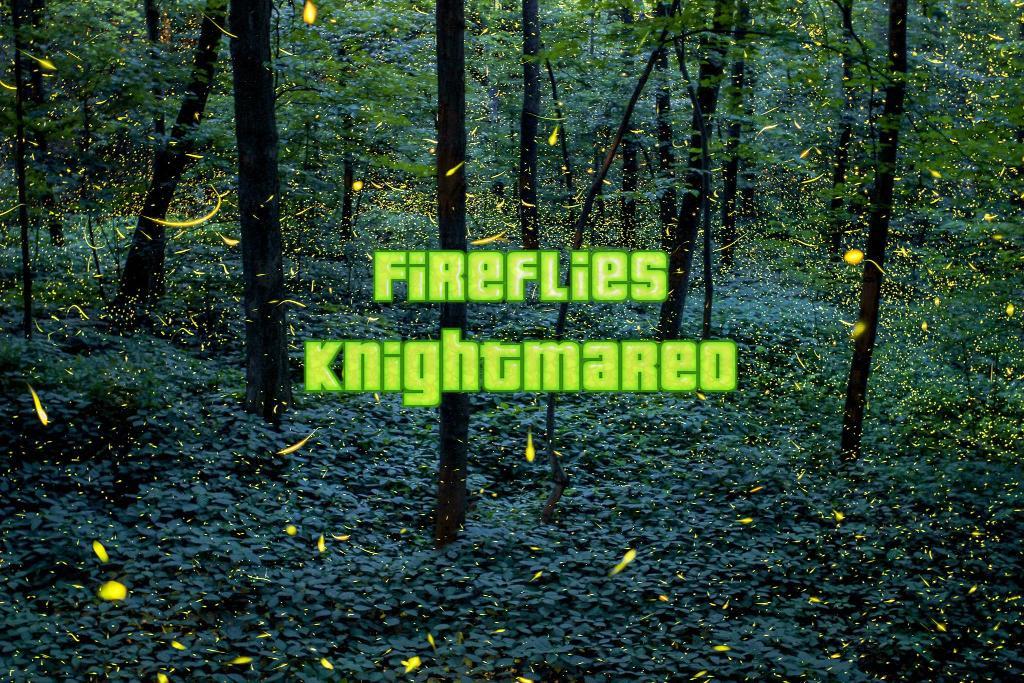 Fireflies
