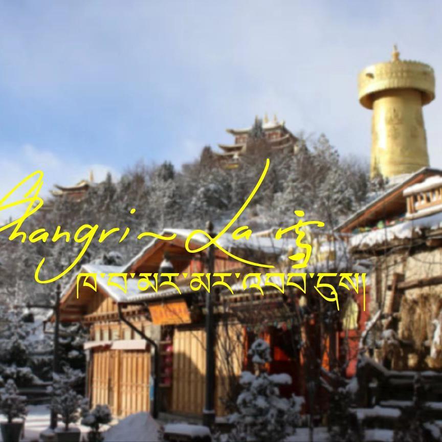 香格里拉下雪了