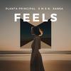 Planta Principal - Feels