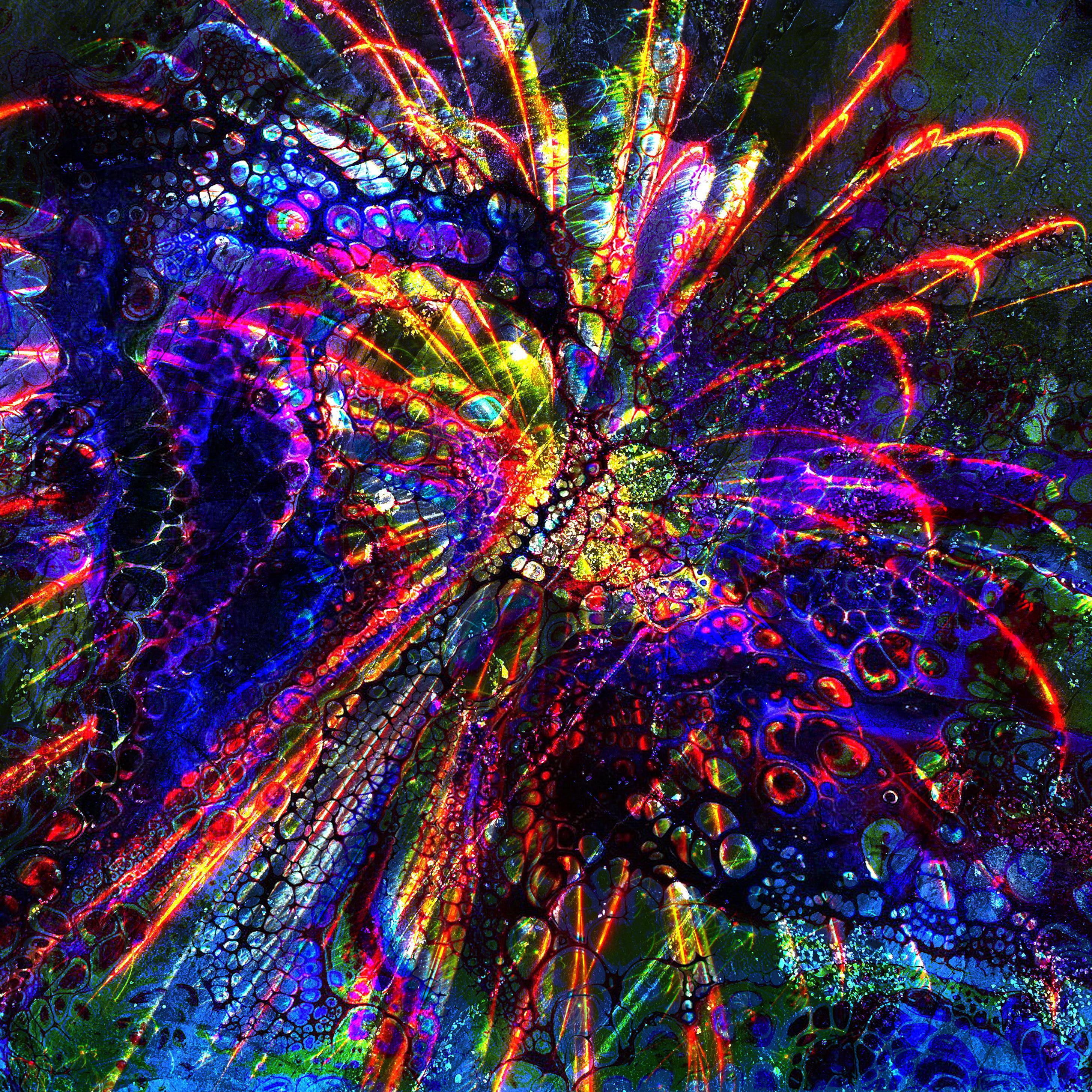Firework