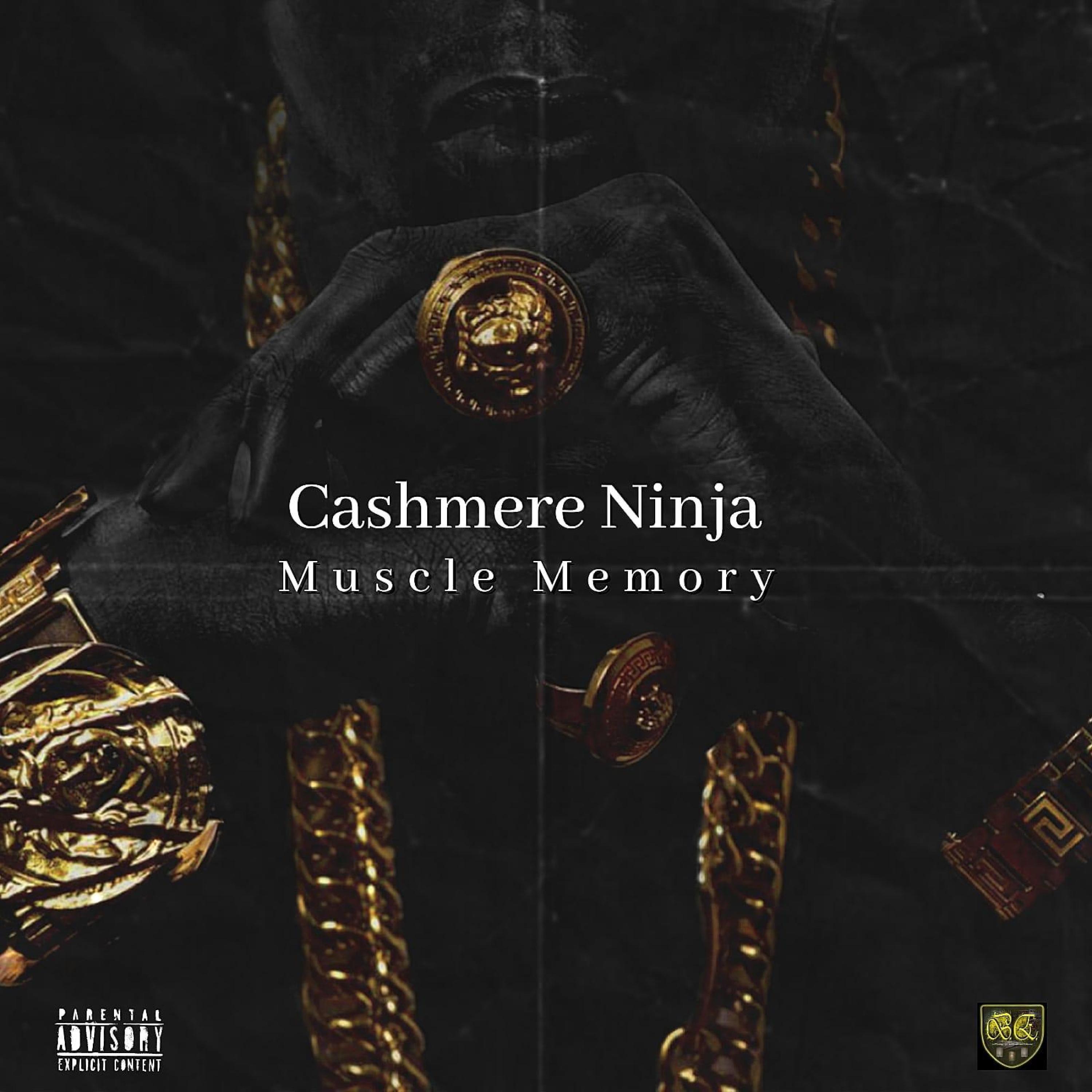 Cashmere Ninja - Daniel Bryan