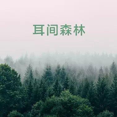轻音乐 | 耳间森林