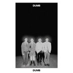 专辑《Dumb》