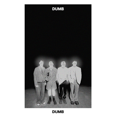 专辑《Dumb》