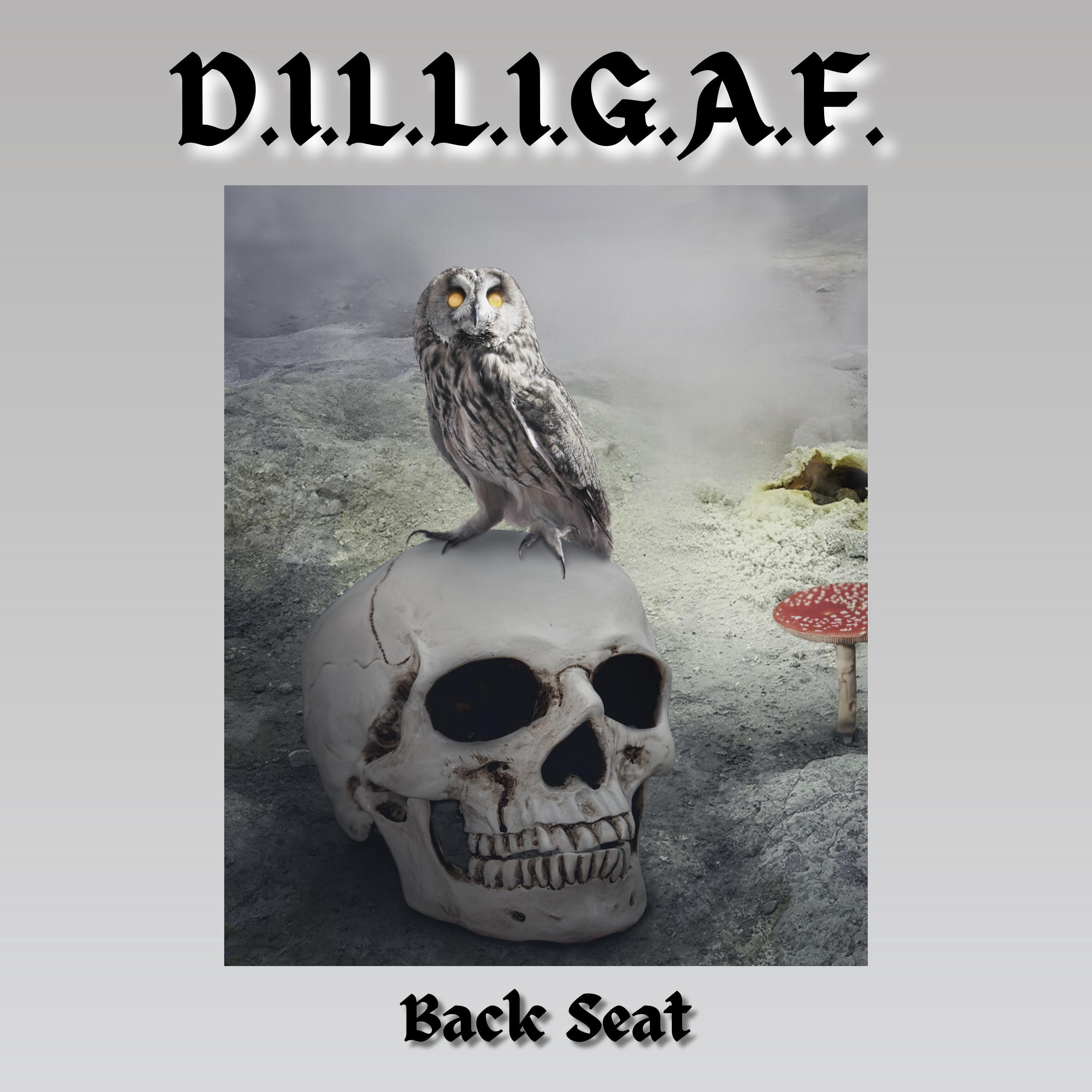 D.I.L.L.I.G.A.F. - Back Seat