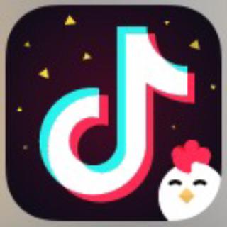 抖音app☑️集合BGM 精选✔️