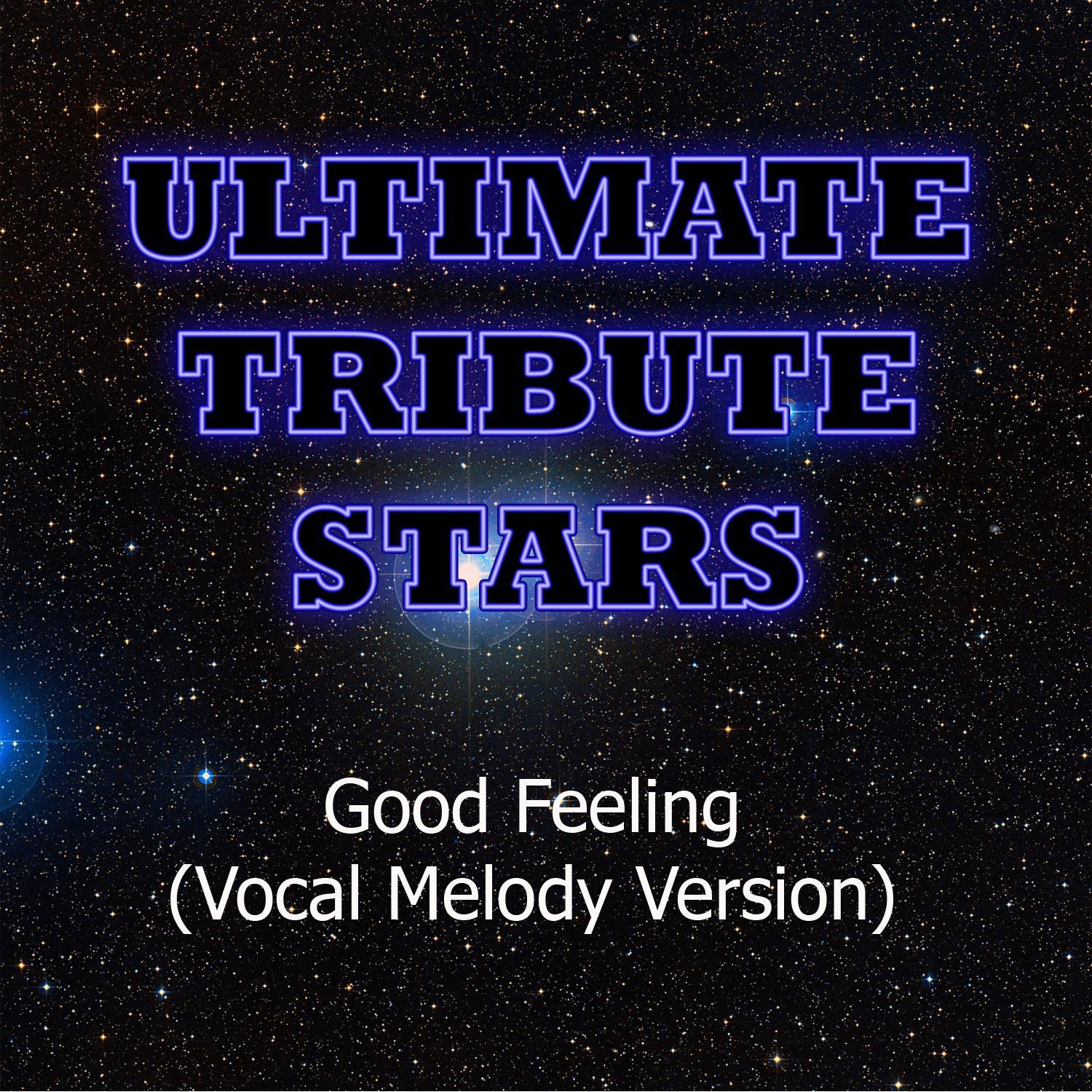 Flo Rida - Good Feeling (Vocal Melody Version)专辑