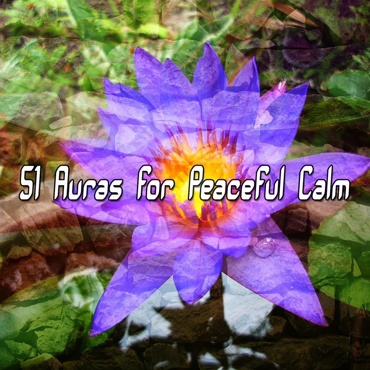 51 Auras For Peaceful Calm专辑