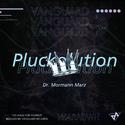 Pluckolution (Orginal Mix)